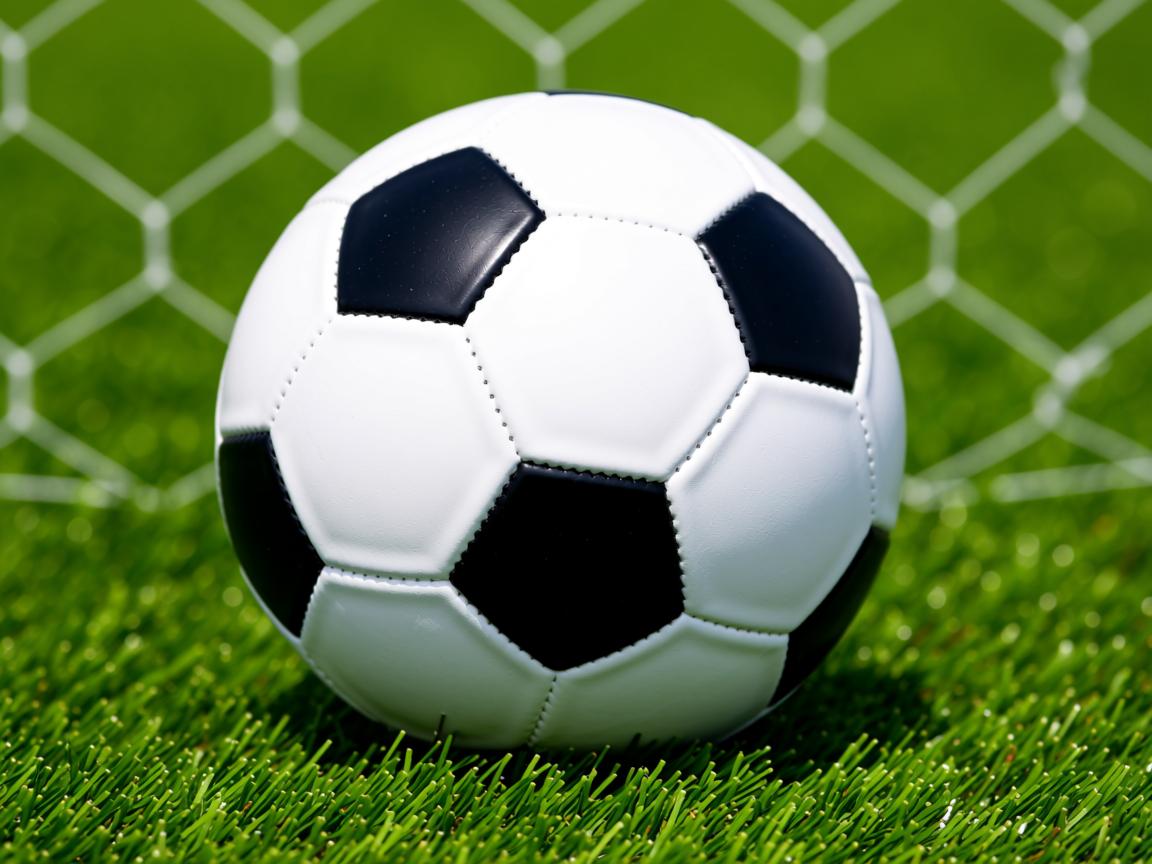 平博体育app-中小学体育教学方法创新，中小学常用体育教学方法及其基本要求  第3张