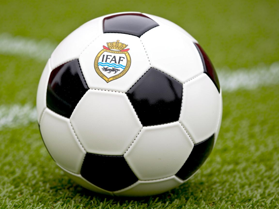 平博体育入口-亚冠赛事现场观众人数创历史新高，亚冠参赛次数  第3张