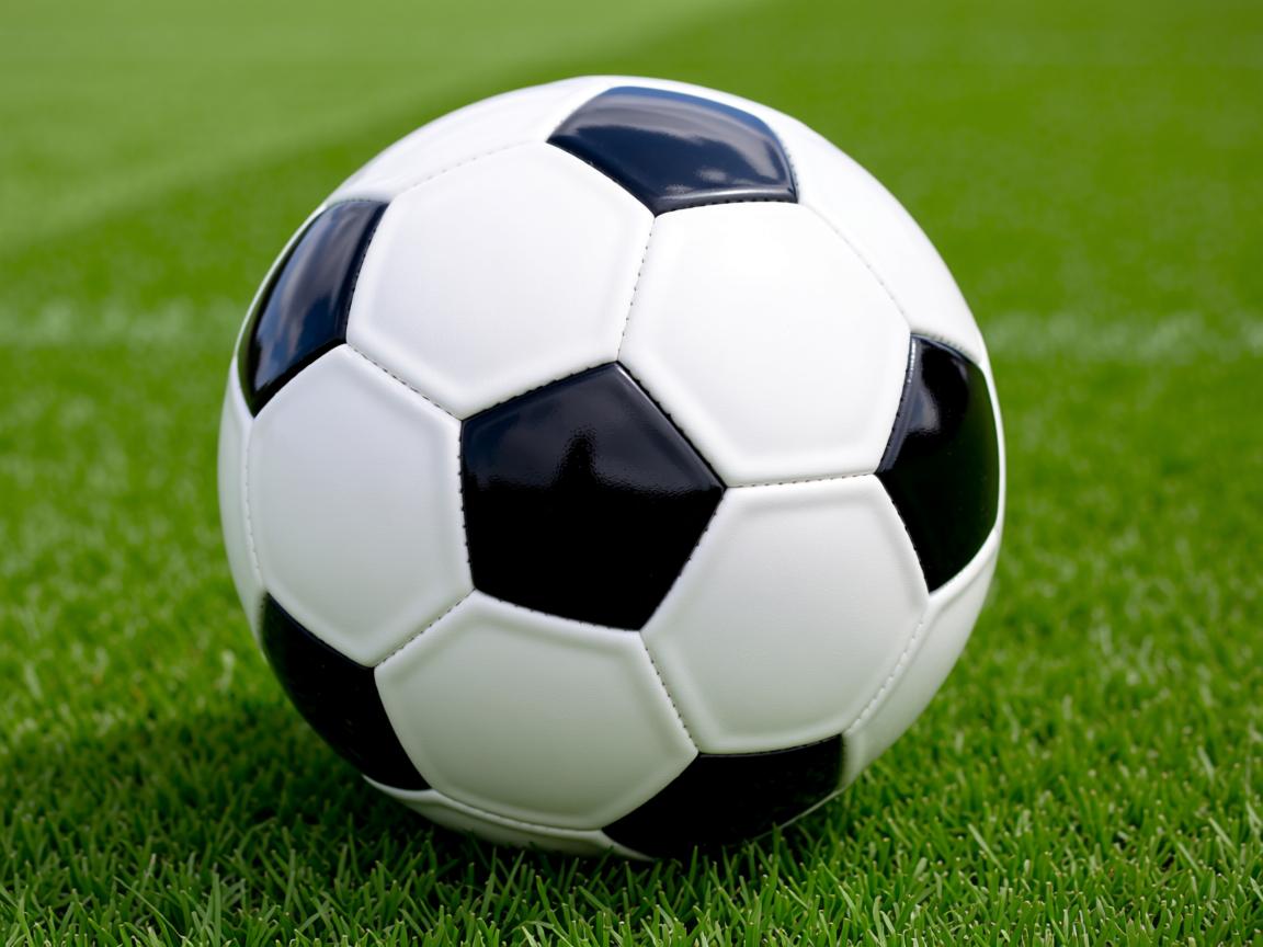 平博体育官方网站-澳女队新星崛起势头猛，澳女篮联赛直播  第2张